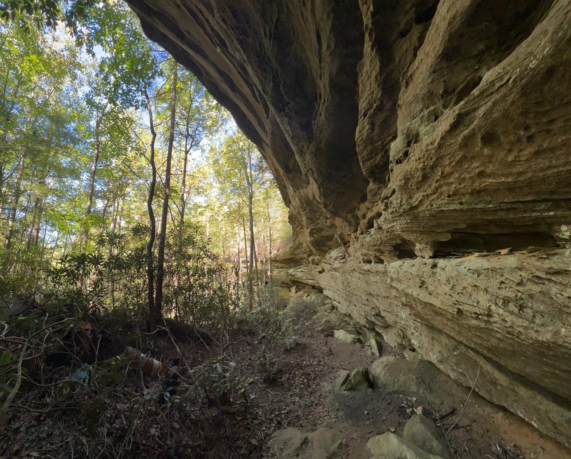 A sandstone rock shelter in the Red River Gorge with sunlight through the forest.