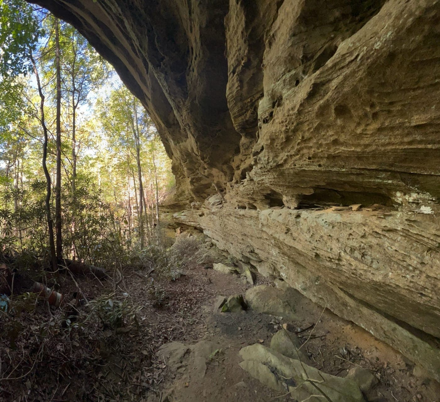 Sandstone cliff at Cavara's 11.5 acres in Red River Gorge, Kentucky