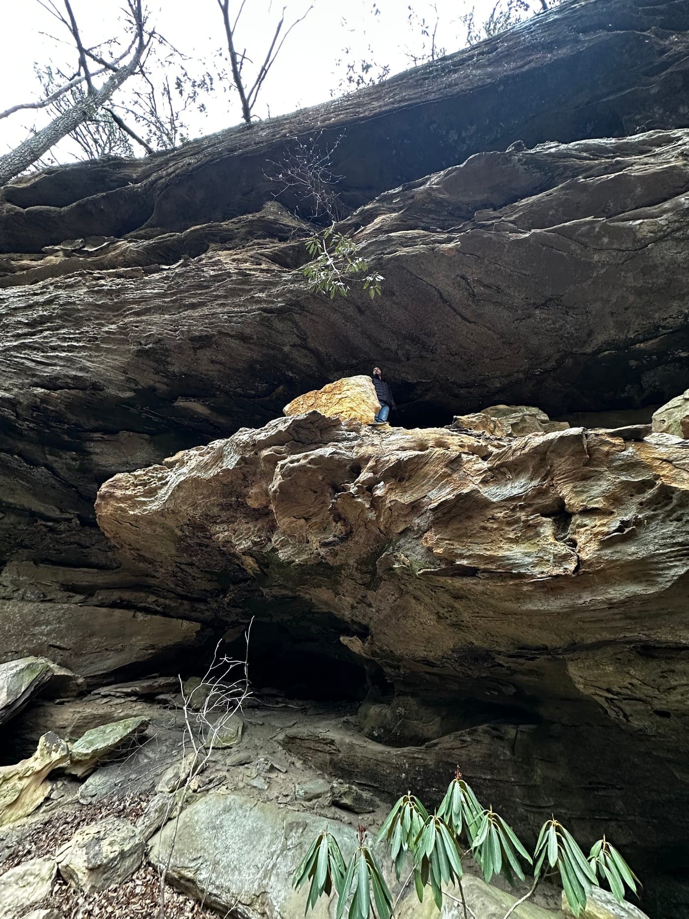 Jeremy on the Cavara land, Red River Gorge