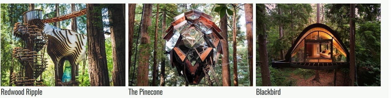 A collage of O2 Treehouse custom builds