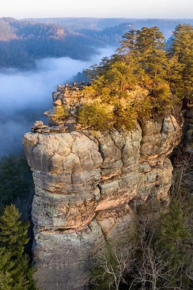 A sandstone cliff line catching first light above the fog in the Red River Gorge