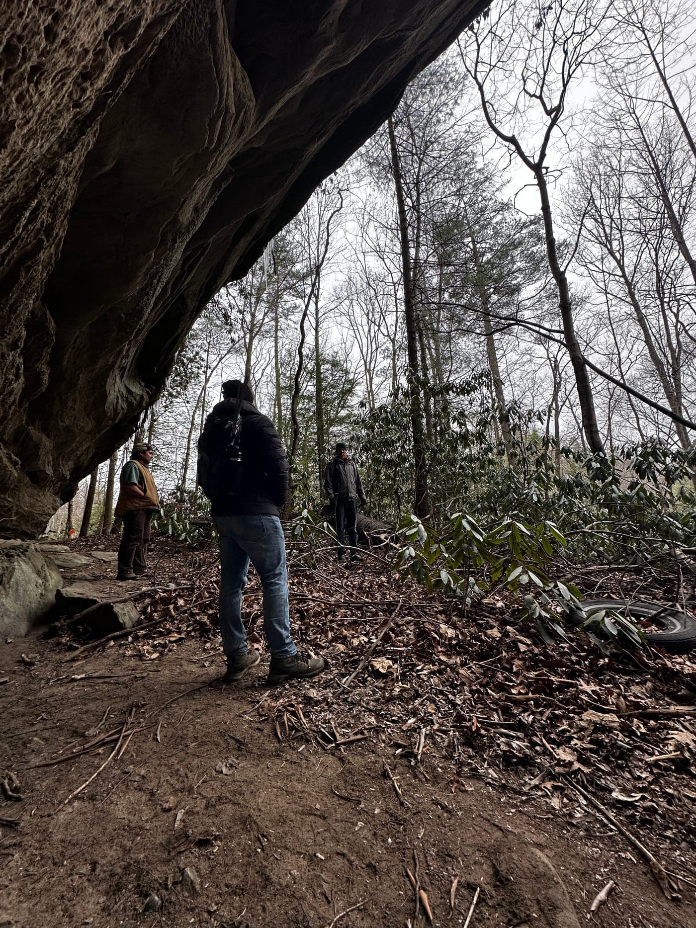 Inside the cave looking out to the forest